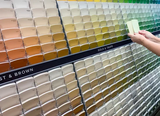 Custom design painting services in Warminster, PA by SIB PRO PAINTERS