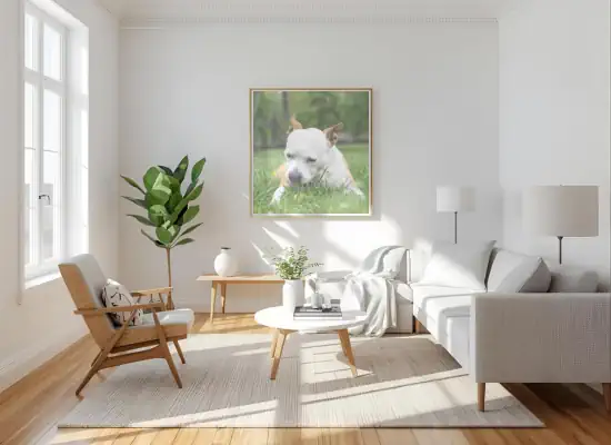 Exterior home painters working on siding in Warrington, PA